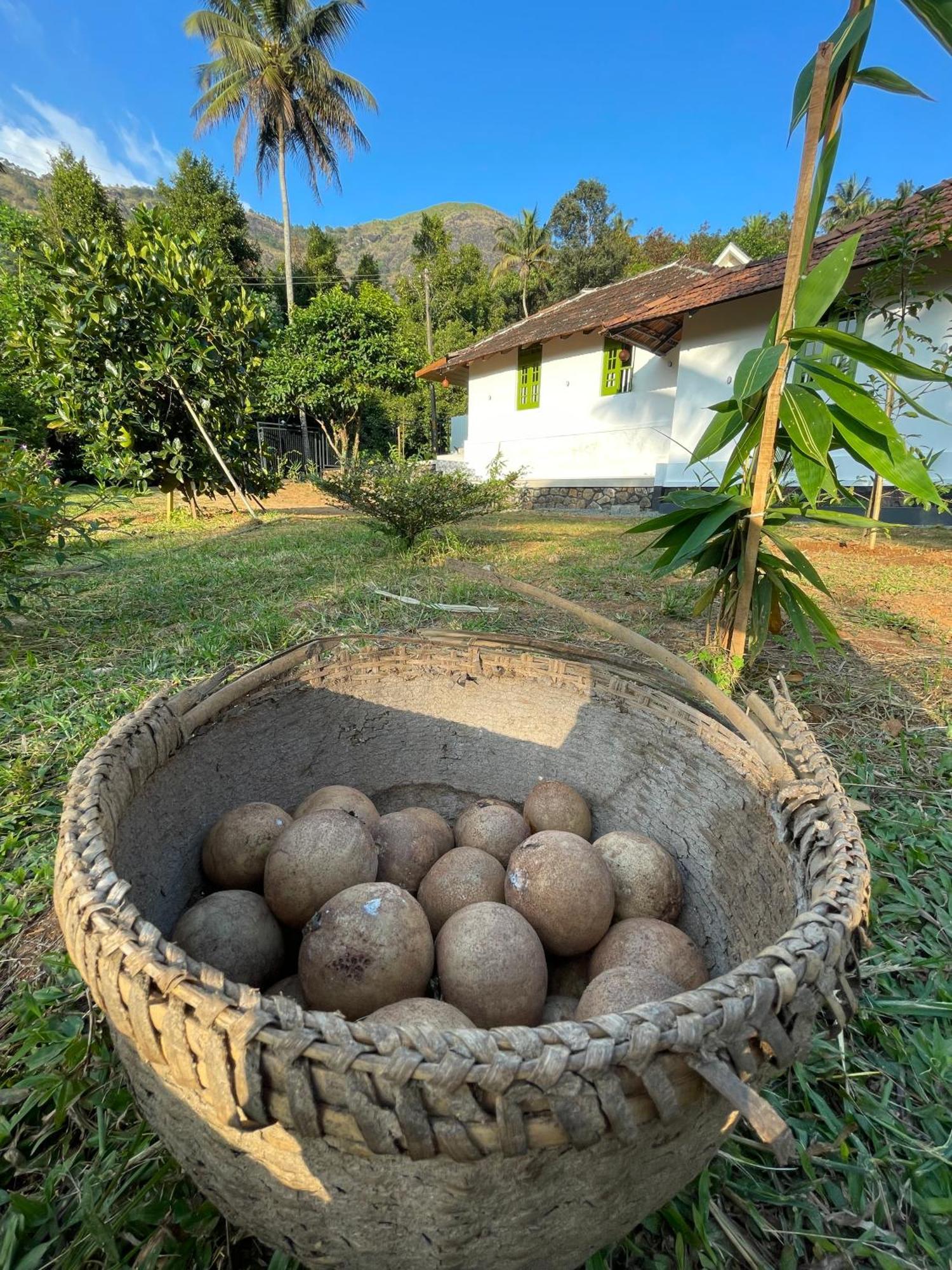 Calm Shack - 2 Bedroom-Boutique Farm Stay Munnar Exterior photo